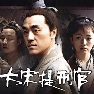 《大宋提刑官》悬疑推理,宋慈的事迹,《洗冤集录》,集律令、解剖学、药理、外科、骨科、检验学。