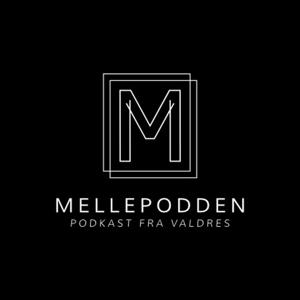 Mellepodden