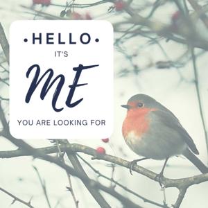 Hello it is ME you are looking for