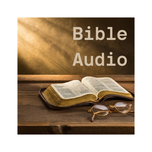 Bible Audio