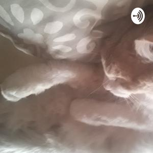 Respira: Autoconsciencia y Meditación.