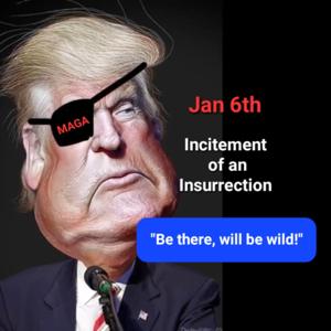 January 6th / The Insurrection