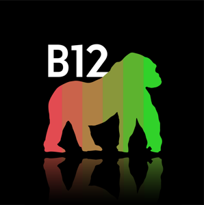 B12 - The podcast