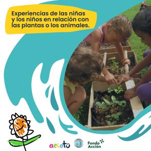 Experiencias de las niñas y los niños en relación con las plantas o los animales