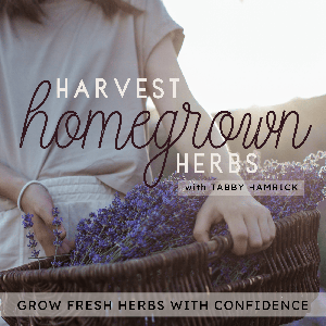 Harvest Homegrown Herbs | Beginner Gardener, Herbal Tea, Garden Planning, Seed Starting, Planting Zone