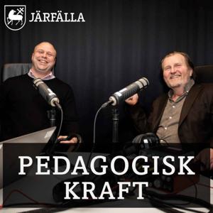 Pedagogisk kraft - Pedagogik i vår vardag