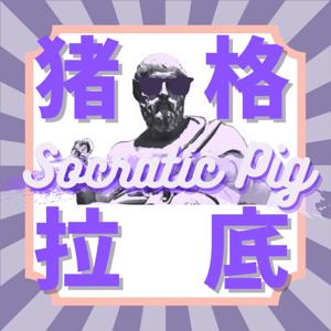 猪格拉底