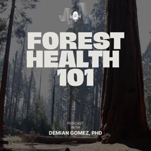 Forest Health 101