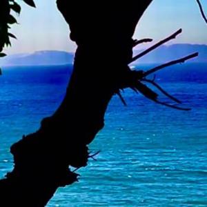 Powerful Craft Music 2024