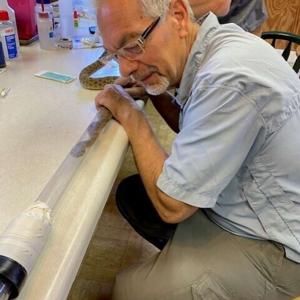 Education for ecosystems: UNL professor helps to lead the charge for reptiles and amphibians in Nebraska