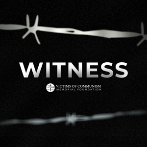 The Witness Project