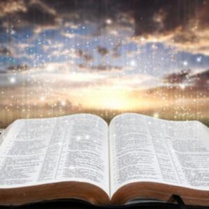 Morning Manna with Suzanne