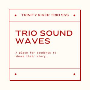 TRIO Sound Waves
