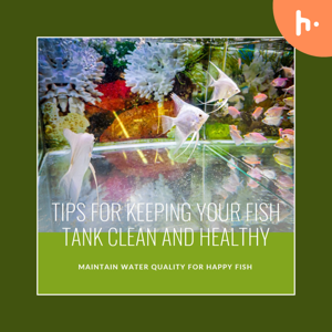 Maintain Water Quality