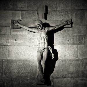 The Fool for Christ