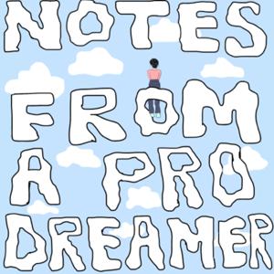 Notes From A Pro Dreamer