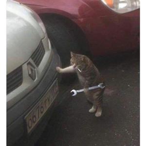 Crónicas de un nuevo día