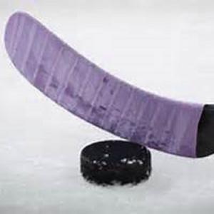 Pioneer High School Men's Hockey