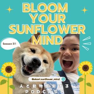 Bloom your Sunflower Mind