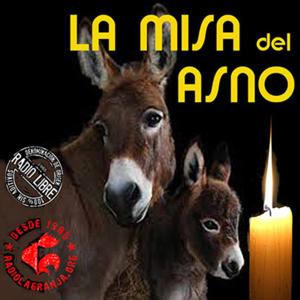 Podcast La Misa Del ASno
