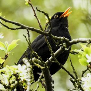 Voice notes from the path to purpose