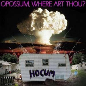 Hocum