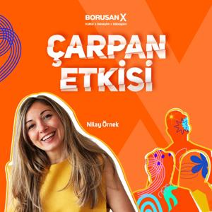 Çarpan Etkisi