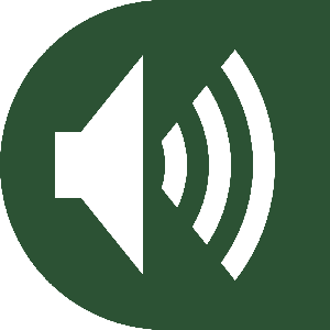 Escucha esta publicación