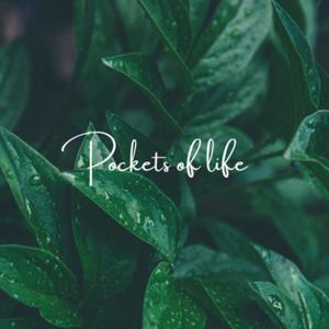 Pockets of Life