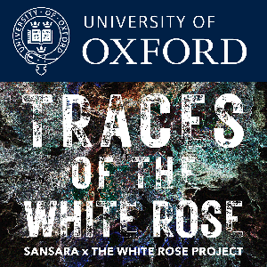 Traces of the White Rose