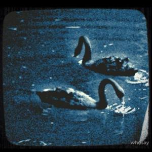 Alunir - Shifting Guided Meditation | The Raven Method
