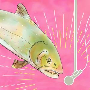 The Bull Trout Show