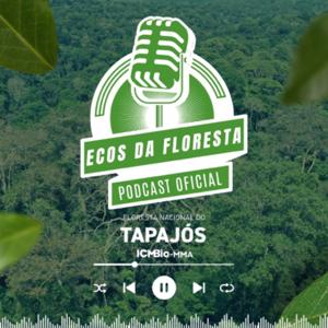 Ecos da Floresta