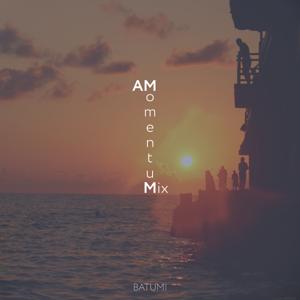 Momentum Mix