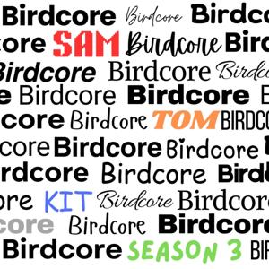 Birdcore