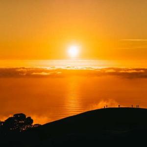 Sunrise Orchestra