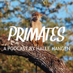 Primates