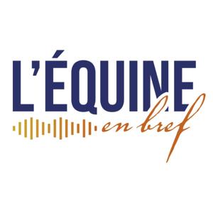 L'Équine en Bref