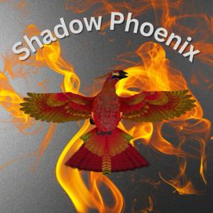 Und täglich grüßt der Phönix