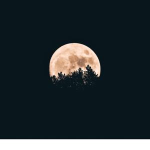Beware the Moon