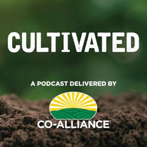 Cultivated, a podcast delivered by Co-Alliance