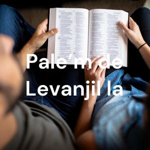 Pale'm de Levanjil la