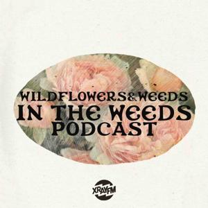 Wildflowers and Weeds: In the Weeds
