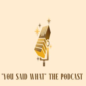 "You Said What?" The Podcast