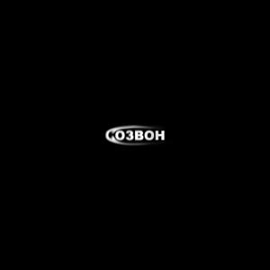 Созвон