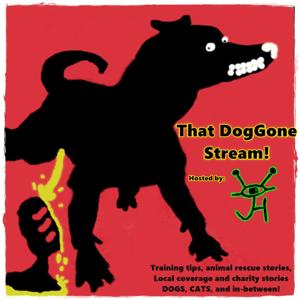 That DogGone Stream