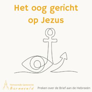 Het oog gericht op Jezus