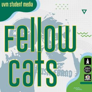 Fellow Cats