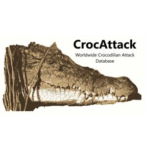 CrocAttack Podcast with Brandon Sideleau