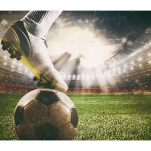 Ivibet Chile 2024